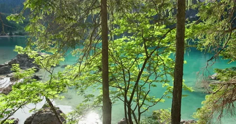 Sunlit trees above a turquoise alpine lake Stock Footage 340789677
