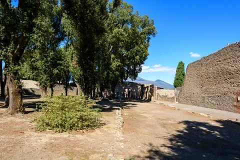 Sunlit trees and ancient wall in Triangular Forum Fotos Stock