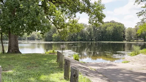 Sunlit trees frame a calm lake and boat ramp Video stock 344906778