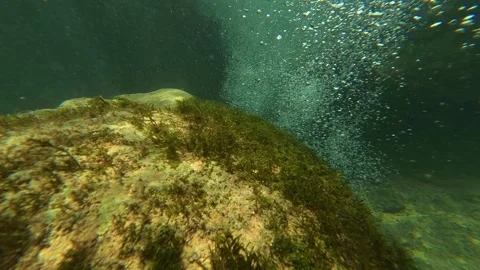 Sunlit trees frame a flowing stream. Gradasnica River Canyon, Serbia Stock Footage 342321236
