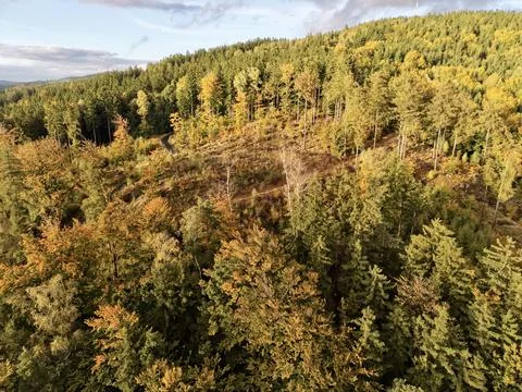 Sunlit Treetops Under Evening Light, Landscape From Above During Sunset Stock Photos
