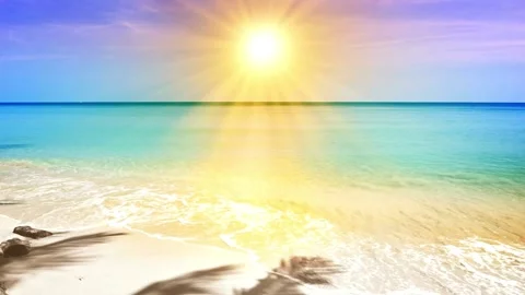 Sunlit Tropical Beach with Palm Tree Shadows Video stock 336399822