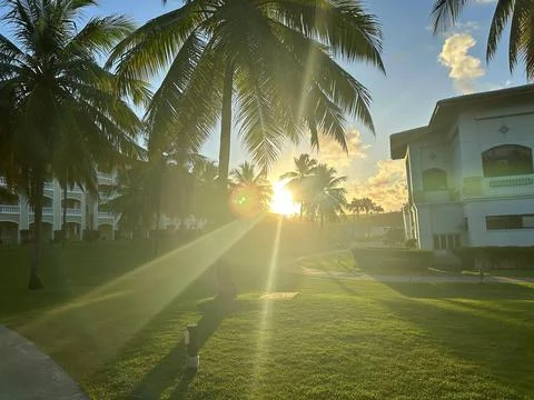 Sunlit tropical resort setting Stock Photos