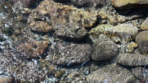 Sunlit Water Caustics on Bedrock Stock Footage 313490094