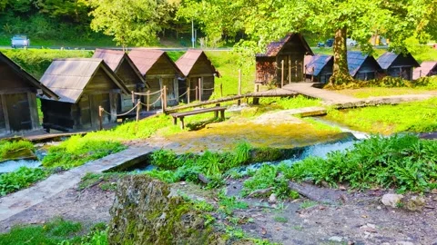 Sunlit Water Dance Vídeo Stock 296616008