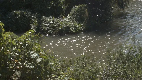 Sunlit water nature FLAT Stock Footage 96634544