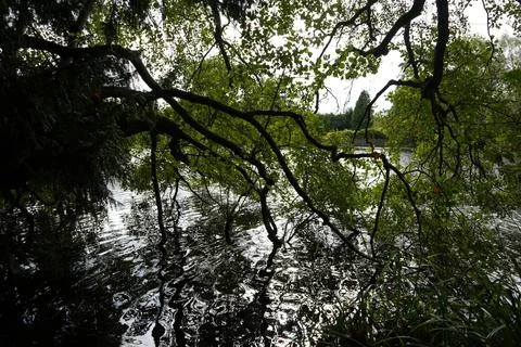 Sunlit Water Reflections Through Trees At Newstead Abbey, Nottinghamshire, Stock Photos