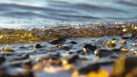 Sunlit Water Rippling Over Pebbles on a Shoreline in the Southern Urals, Russia Stock Footage 325466335