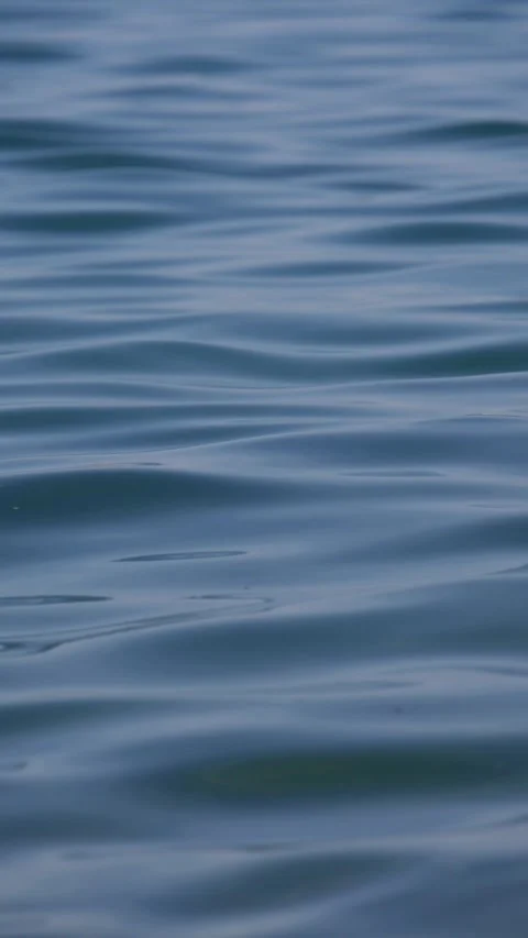 Sunlit water surface with gentle ripples and soft reflections moving across the Stock Footage 339280018