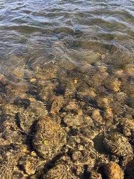 Sunlit Water Surface with Visible River Stones Stock Photos