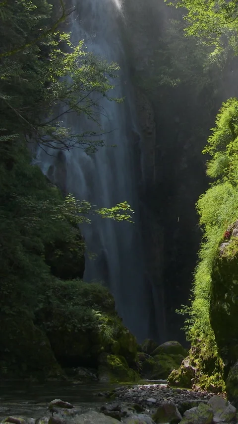 Sunlit Waterfall in Mossy Forest Ravine Vertical Video 库存影片 346066994
