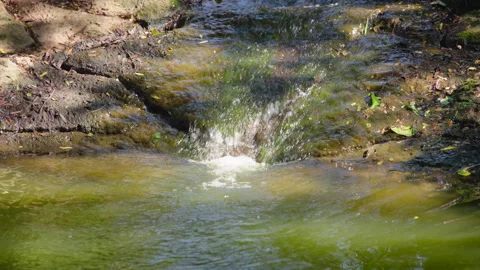 A Sunlit Waterfall Over Mossy Rocks. Stock Footage 307584842