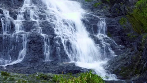 Sunlit Waterfall Pouring Through Dense Green Foliage in a Summer Landscape Video stock 341915162