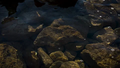 Sunlit Waves Over Submerged Rocks – Coastal Detail Shot Stock Footage 341629699