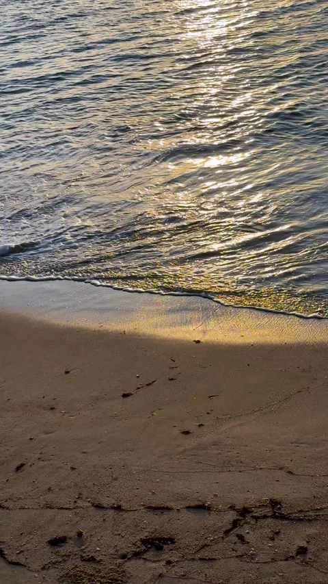 Sunlit waves on sandy beach shoreline at golden hour Stock Footage 343558201
