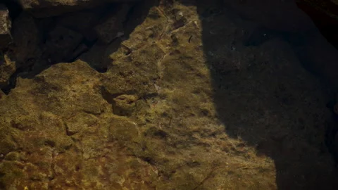 Sunlit Waves Washing Over Coastal Rocks – Close Detail Stock Footage 341630091