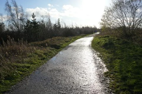 Sunlit Wet Path With Trees And Distant Walkers, Gedling Country Park, Stock Photos