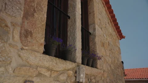 Sunlit window ledge of a rustic stone house decorated with small pots of vibrant 스톡 동영상 336054196
