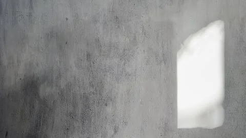 Sunlit Window Shadow on Brutalist Concrete Wall with Leaf Silhouettes Stock Footage 339432791
