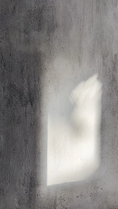 Sunlit Window Shadow with Leaf Silhouettes on Brutalist Concrete Wall Stock Footage 339433581