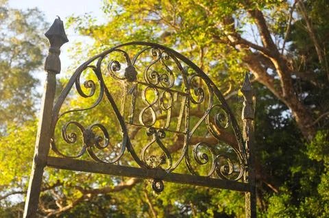 Sunlit wrought iron gate with scrollwork against green foliage and golden l.. Stock Photos