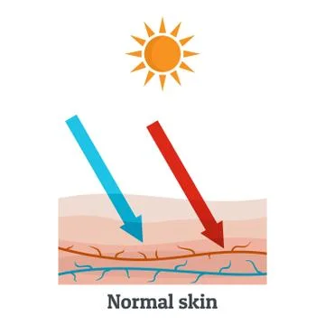 Sunllight normal skin icon, flat style イラスト素材