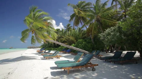 Sunlounger on a palm beach Stock Footage 1008233
