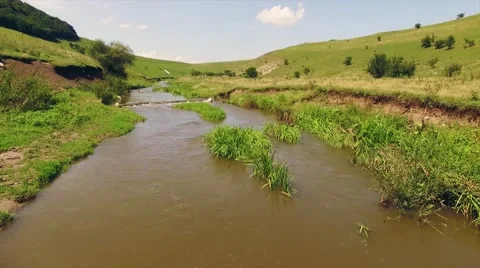 Sunning view alongside a slow river in lush green grass Stock Footage 66443689