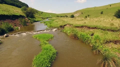 Sunning view alongside a slow river in lush green grass Stock Footage 66443743