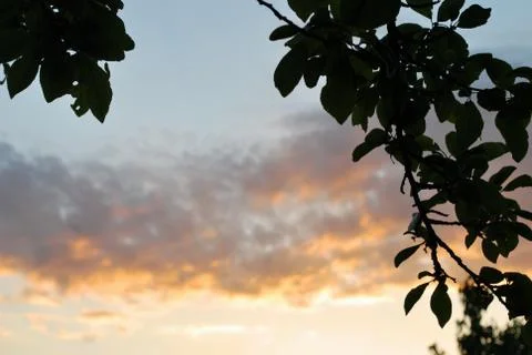 Sunnset Stock Photos