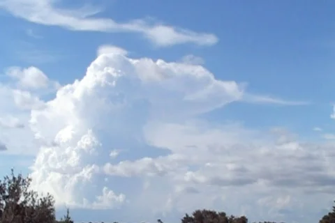 Sunny 24 Stock Footage 89265