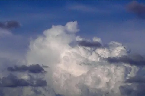 Sunny 45 Stock Footage 89260