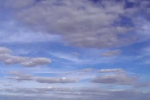 Sunny 46 WIDE Stock Footage 89261