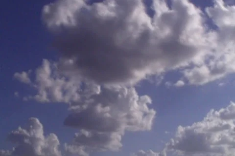 Sunny 48 WIDE Stock Footage 89262