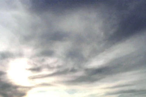 Sunny 50 Stock Footage 89264