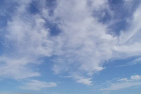 Sunny 59 WIDE Video stock 91237