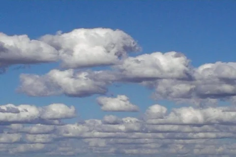 Sunny 71 Video stock 95465