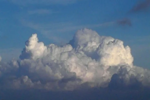 Sunny 72 WIDE Stock Footage 98460