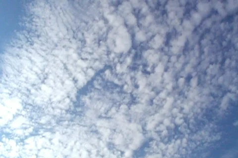 Sunny 76 Stock Footage 113242