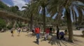 Sunny afternoon in Park Guell, Barcelona 4k or 4k+ Resolution