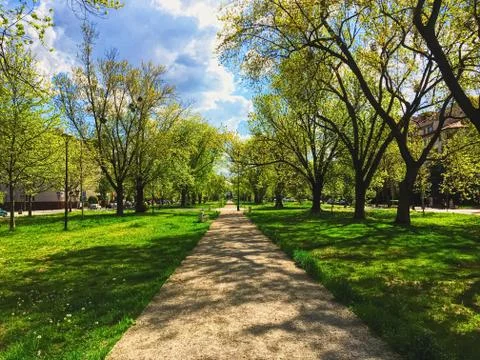 Sunny alley in the city park in spring, nature and outdoor landscape Stock Photos