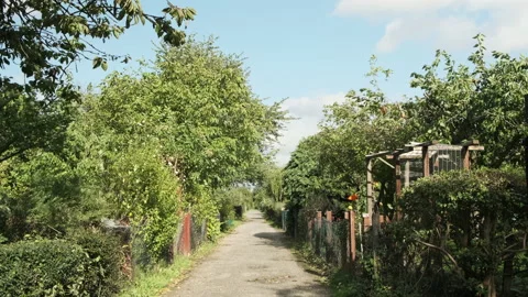 A sunny and windy day looking down a tree lined path between allotments Stock-Footage 131277778