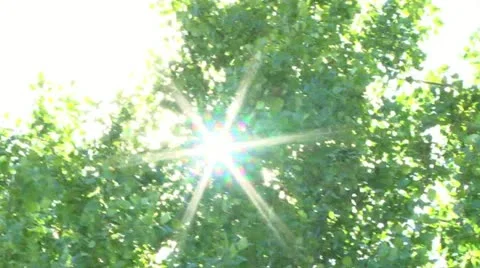 Sunny and Windy Stock Footage 11980433