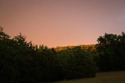 Sunny in the Back of the Forest Stock Photos