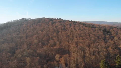 Sunny backwards Drone flight over hill full of trees Stock Footage 103084049