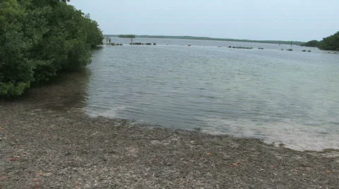 Sunny bay in the keys Stock Footage 141047