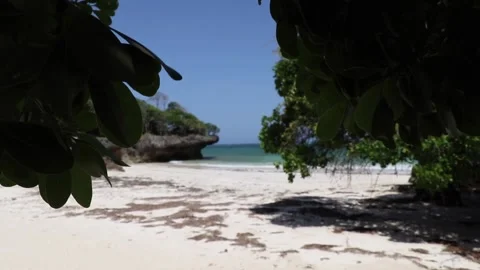 Sunny beach behind trees Stock Footage 170255376