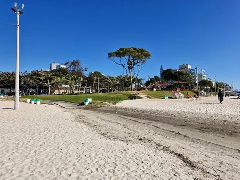 Sunny beach with trees and path Stock Photos