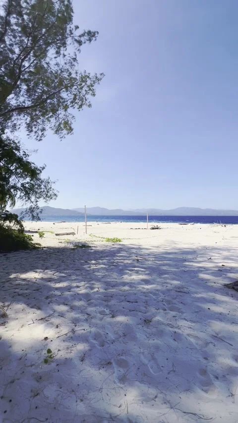 Sunny Beach with White Sand and Tree Shadows Stock Footage 342313341