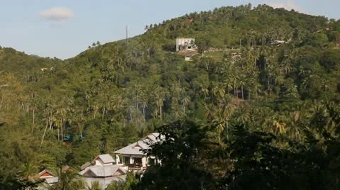 Sunny beautiful green mountain with coconuts palms in Thailand Stock Footage